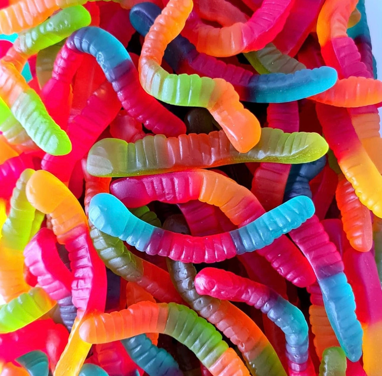 Gummy Grubs 100g – Lolly Lab NZ