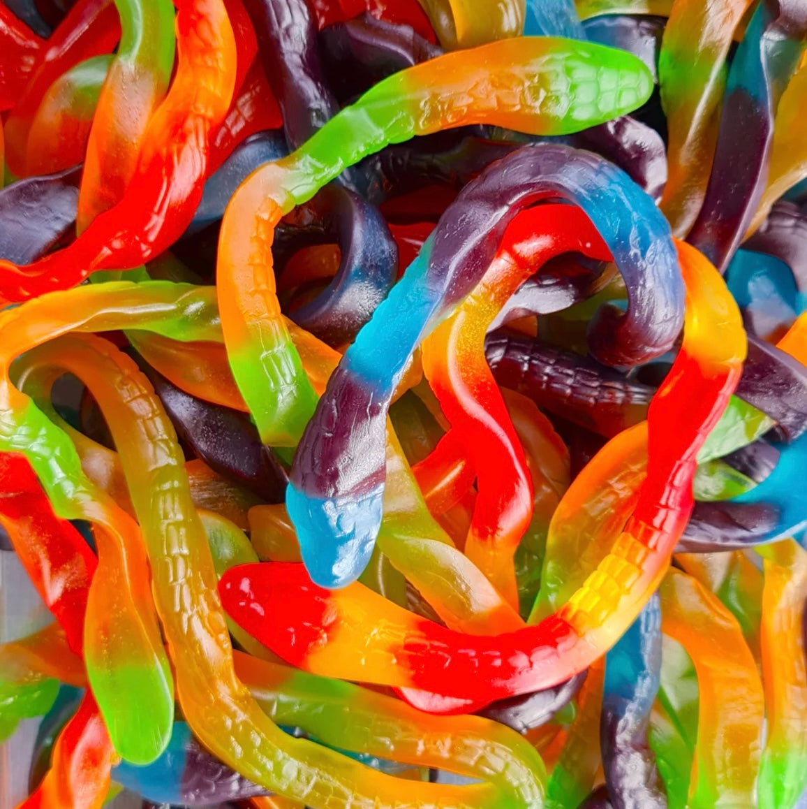 Gummy Pythons – Lolly Lab NZ